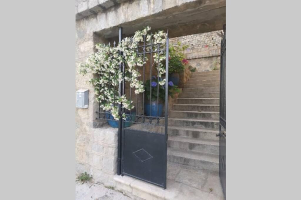 Appartement De Charme A Olmeto Olmeto  Exterior foto